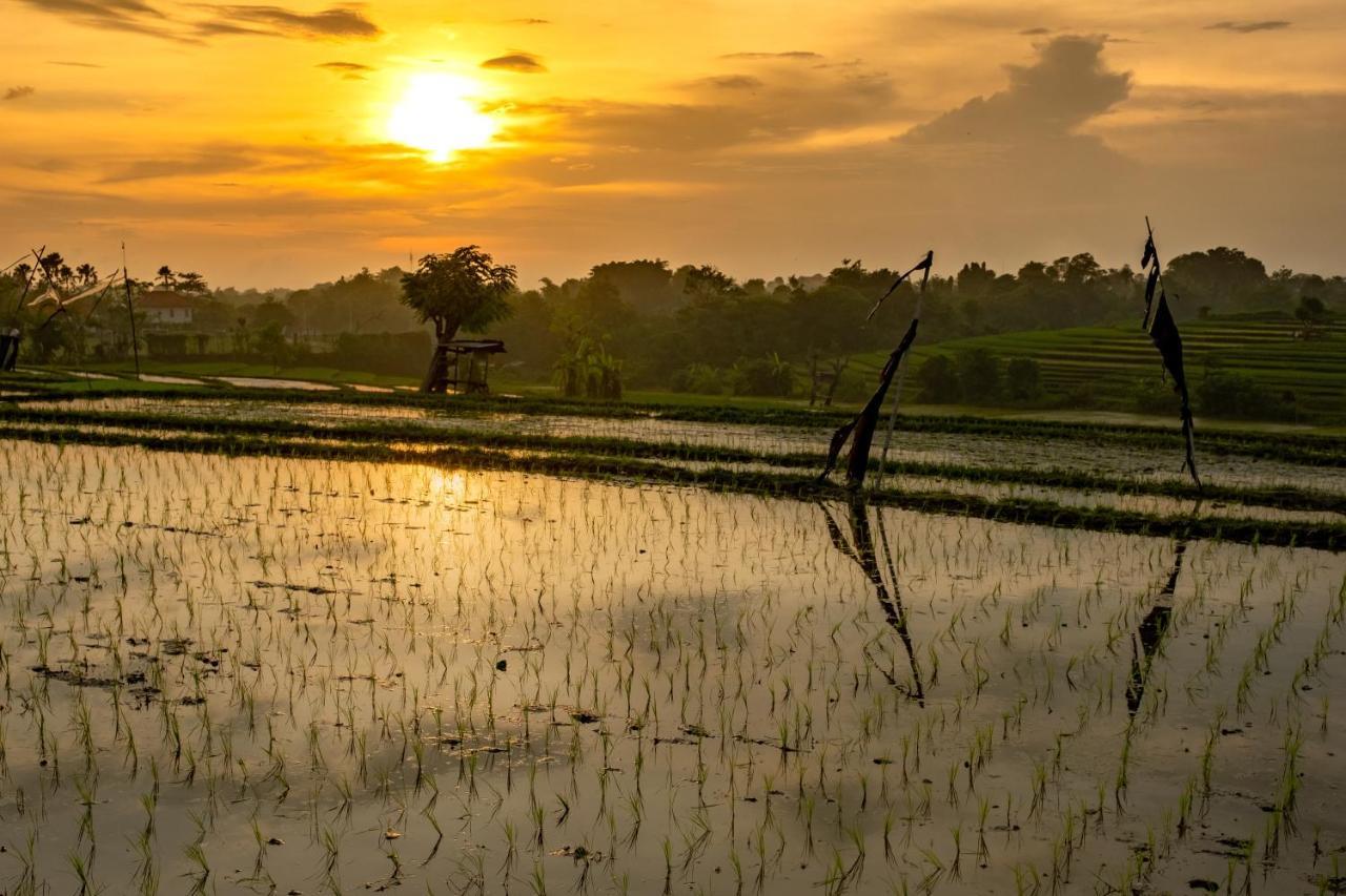 Villa Gajah Canggu Esterno foto